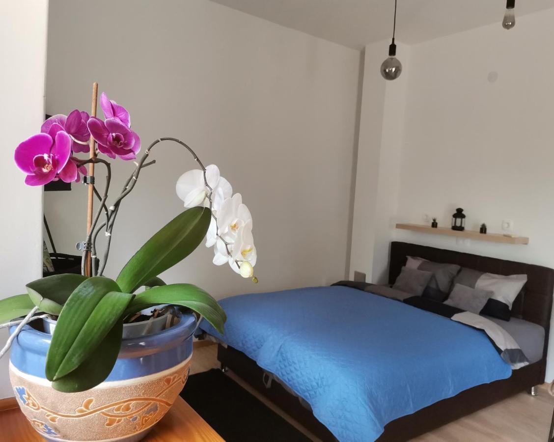 Apartments Sandra Lovran Ngoại thất bức ảnh
